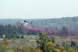 Photograph of a helicopter conducting glyphosate spraying at an unidentified location in Nova Scotia
