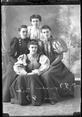 Photograph of the daughters of Mr. D.S. Fraser