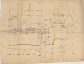 Plan showing location of trees, shrubs, etc. planted 1919