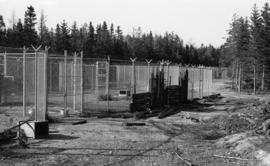 Photograph of the wolves cage at the mobile Psychology laboratory