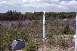 Photograph of researchers conducting throughfall control measurements in a heath barren at an uni...