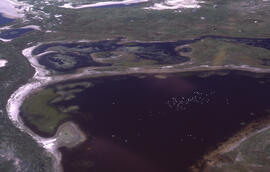 Aerial photograph of freshwater ponds near Main Station on Sable Island