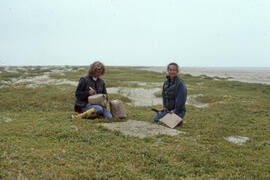 Photograph of Zoe Lucas and Noreen Stadey harvesting sandwort on Sable Island