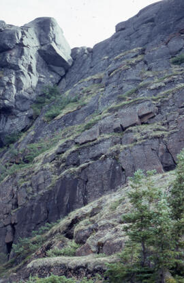 Photograph of a steep cliff face with hardy tundra plants, near Voisey's Bay, Newfoundland and La...