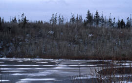 Photograph of Canada Land Inventory (CLI) unproductive woodland, near Herring Cove, Halifax Count...