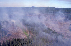 Aerial photograph of an active forest fire in La Mauricie National Park