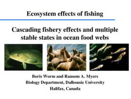 Cascading fishery effects and multiple stable states in ocean food webs : [PowerPoint presentation]