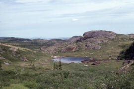 Photograph of an unidentified pond in an upland tundra area near Voisey's Bay, Newfoundland and L...