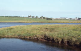 Photograph of the brackish Goose Creek tidal pond, Lunenburg County, Nova Scotia