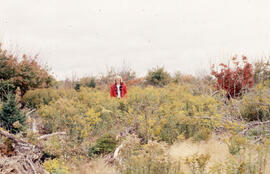 Photograph of an unidentified person standing in a Riverside site plot two years after spraying, ...