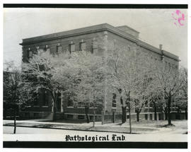 Photograph of the Pathological Institute