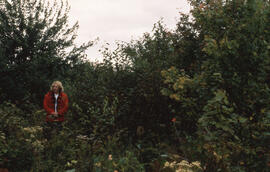 Photograph of an unidentified person standing in dense unsprayed control site, Plot 2, Riverside ...