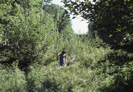 Photograph of an unidentified researcher conducting forest biomass measurements at Plot 2, a four...