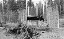 Photograph of inside the wolf cage at the mobile Psychology laboratory