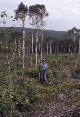 Photograph of an unidentified researcher conducting forest biomass measurements at Plot F, an uni...