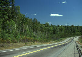 Photograph of mixed forest along a highway 35 kilometres from the Copper Cliff site, near Sudbury...