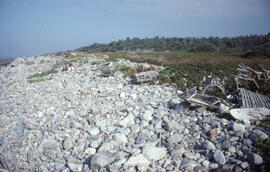 Photograph of persistent litter and discarded lobster traps on Bon Portage Island, Shelburne Coun...