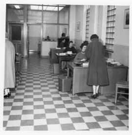 Photograph of unidentified Island Telephone Company employees