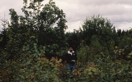 Photograph of Bill Freedman standing in dense unsprayed control site, Plot 2, Riverside site, cen...