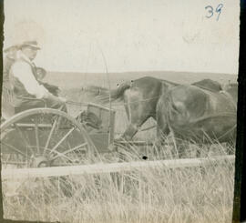 Photograph of Captain Blakeney and two unidentified people riding in a buckboard carriage on Sabl...