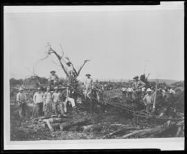 Prisoners of War at experimental farm at Nappan, Nova Scotia - up after clearing the land of forest