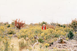 Photograph of an unidentified person standing in regrowth two years after glyphosate spraying, Pl...