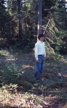 Photograph of an unidentified person standing amid regenerating forest in Point Pleasant Park, Ha...