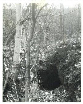 Photograph of one of the small shafts dug at Molega