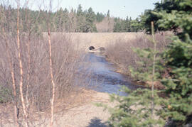 Photograph of a culvert alongside a forest road in 3-year forest growth, Irving Black Brook Distr...
