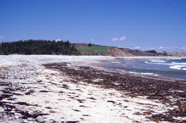 Photograph of Hirtle's Beach along the Gaff Point trail, near Kingsburg, Nova Scotia