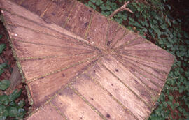 Photograph of a wooden trail platform in the Tobeatic Wilderness Area, southwestern Nova Scotia