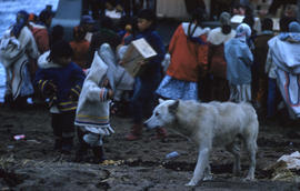 Photograph of children and a dog