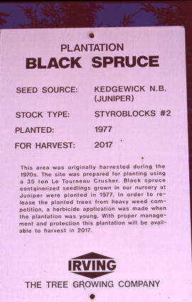 Photograph of an Irving Black spruce plantation sign, Kedgewick (Juniper), New Brunswick