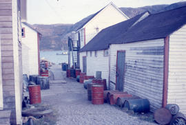 Photograph of a side street in Nain, Newfoundland and Labrador
