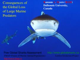 Consequences of the global loss of large marine predators : [PowerPoint presentation]