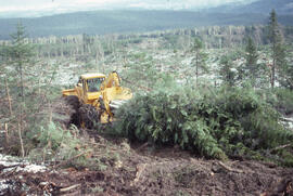 Photograph of forestry equipment skidding whole trees at a cleracut site near Corner Brook, Newfo...