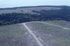Aerial photograph of a regenerating spruce plantation near Fundy National Park, New Brunswick