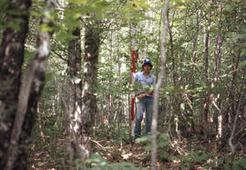 Photograph of an unidentified researcher conducting forest biomass measurements at Plot I, an uni...