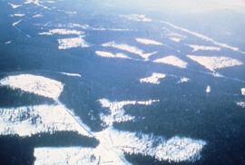 Aerial photograph of clear cuts in a deer wintering area, northern New Brunswick