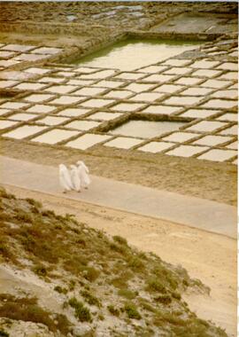 Photograph of robed women walking near fish farms/pools