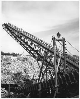 Photograph of the Conveyor at the Pulp Yard in Sheet Harbour