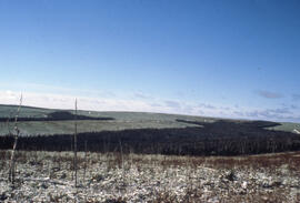 Photograph of clearcuts in northern New Brunswick