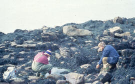 Photograph of two unidentified people examining oil-covered rocks on the Brittany coast after the...