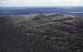 Aerial photograph of altitudinal tundra at 2500 feet elevation, near Postville, Newfoundland and ...