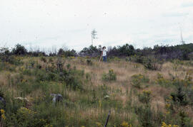 Photograph of an unidentified person observing regrowth one year after glyphosate spraying, River...