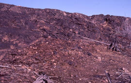 Photograph of a slag heap at the Coniston site, near Sudbury, Ontario