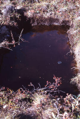 Photograph of an "engineer's soil pit" one month after spill, likely near Norman Wells, Northwest...