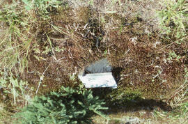 Photograph of a pitfall trap, Greater Fundy Ecosystem, New Brunswick