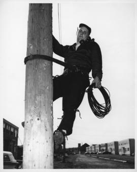 Photograph of an Island Telephone Company employee on a telephone pole