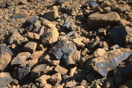 Photograph of serpentine rocks at Gros Morne National Park, Newfoundland and Labrador